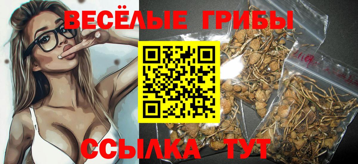 Псилоцибиновые грибы ЛСД  Галлюциногенные грибы ЛСД  Вход с VPN  закладки  Томск 